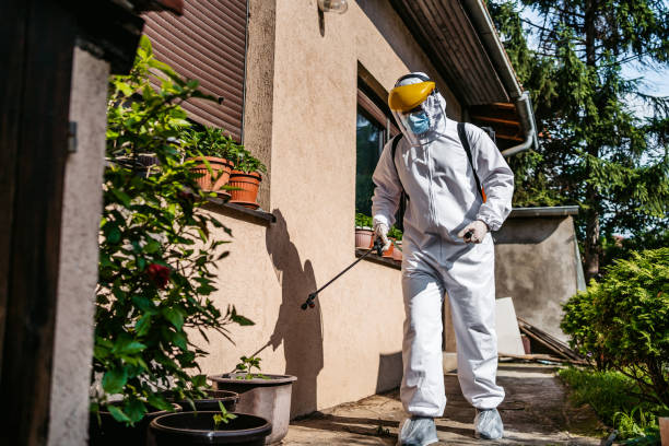 Trusted Prien, LA Pest Control Experts