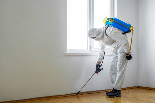Best Rat Extermination Near Me  in Prien, LA