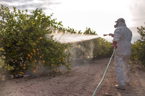 Best Pest Control for Businesses  in Prien, LA