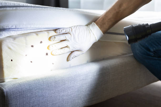 Best Best Pest Control Companies  in Prien, LA