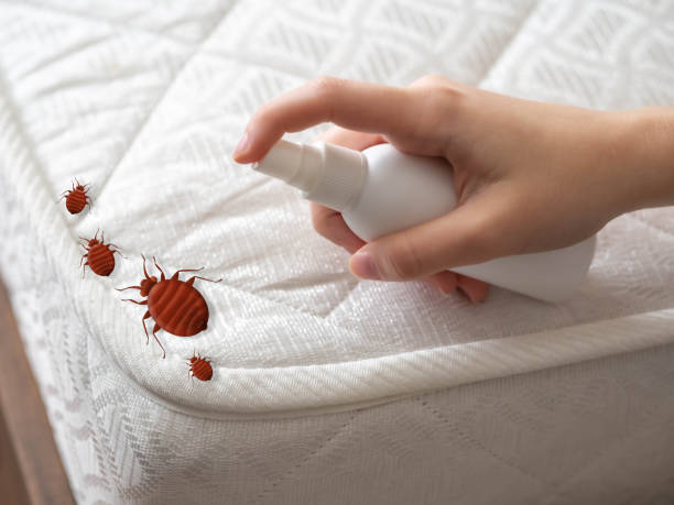 Pest Control Cost in Prien, LA