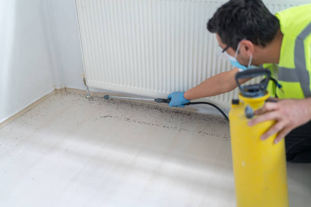 Best Flea Control Services  in Prien, LA
