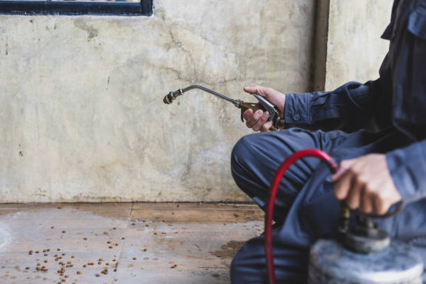 Best Pest Control for Homes  in Prien, LA